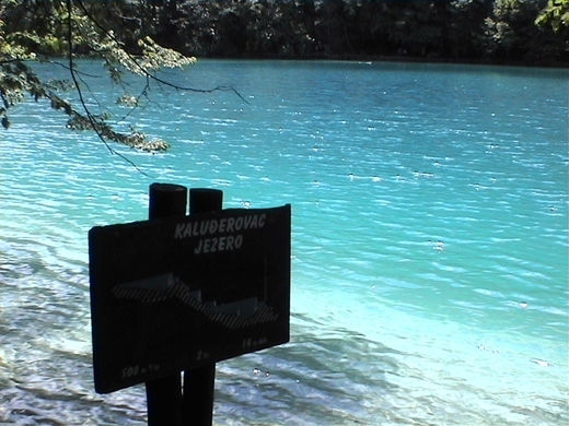 DVC00738 (800x600).jpg