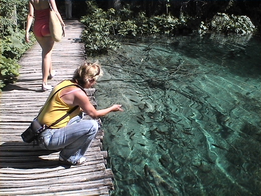 DVC00749 (800x600).jpg