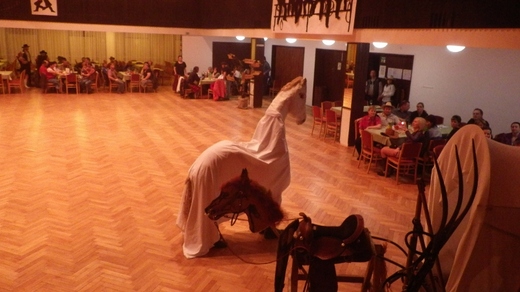 IMGP0491 (800x450).jpg
